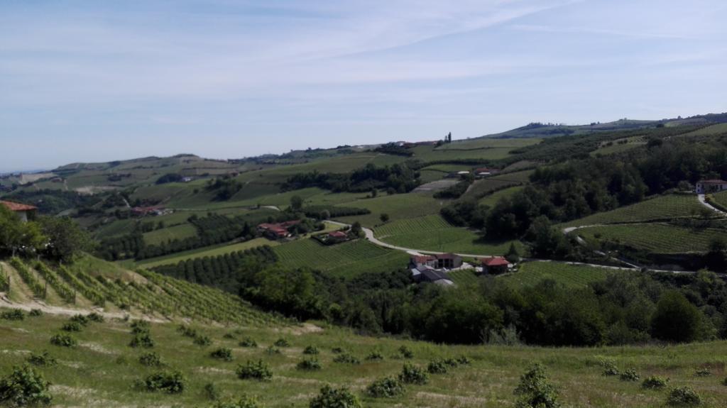 Bed and Breakfast La Pajassa Alba  Zewnętrze zdjęcie